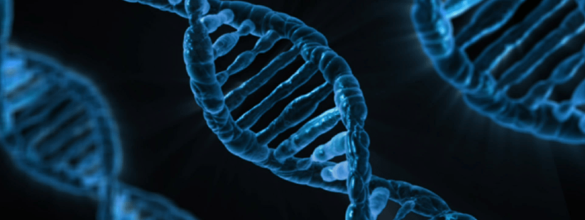Image of Genetic or generic: How gene assessments will revolutionise our roles