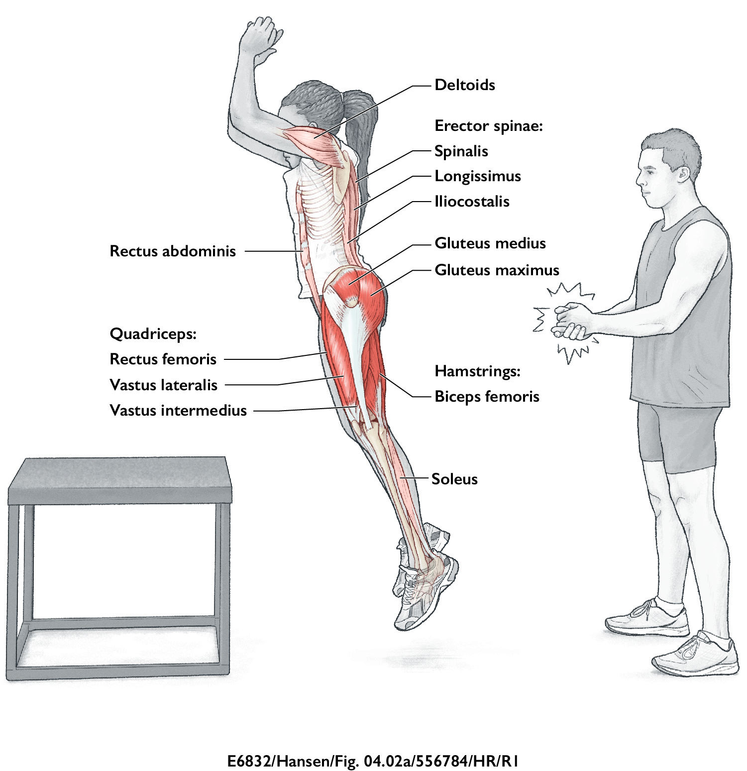 The Right Way to Do Box Jumps