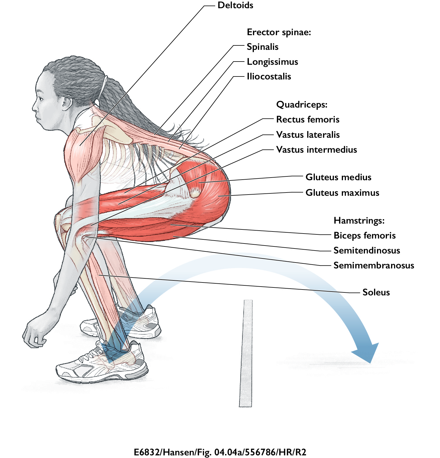 How to Use Box Jumps to Develop Leg Power