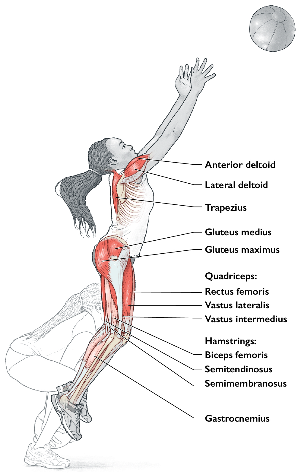 How to Do Medicine Ball Slams: Techniques, Benefits, Variations