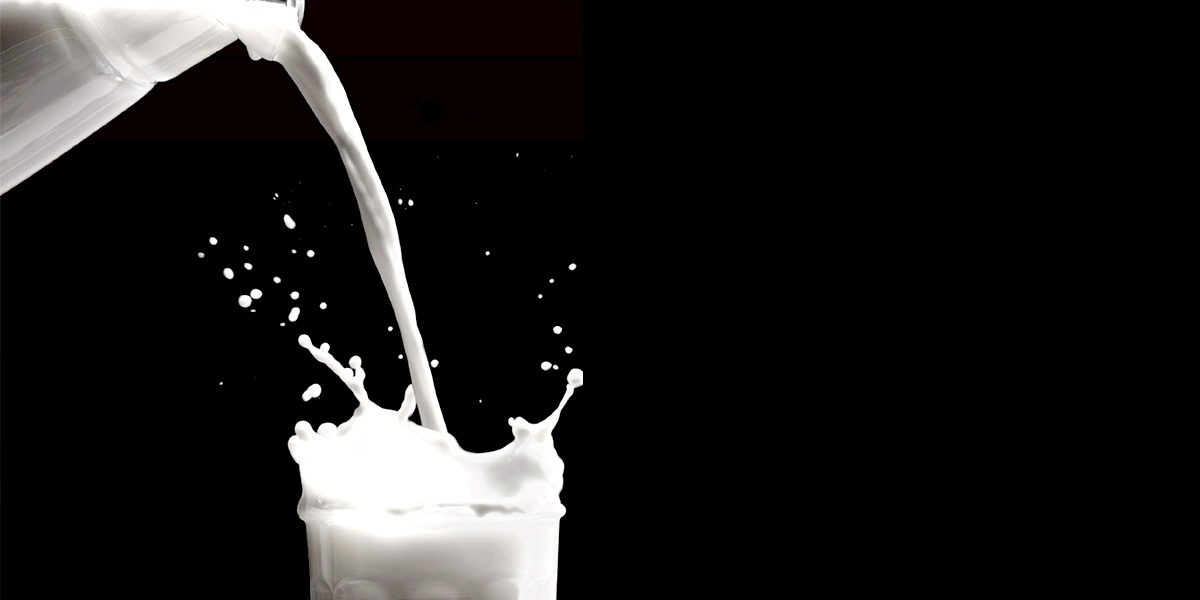 Unlocking milk’s formula could save lives