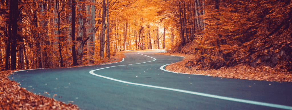 A long road surrounded by trees in Autumn