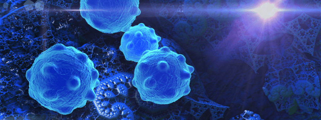 Cancer cells