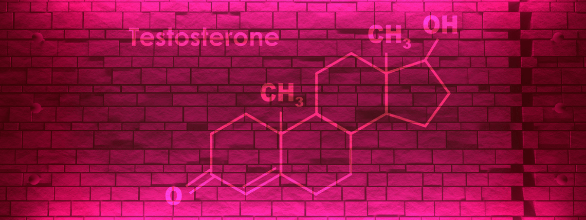 Hormone health – focus on testosterone