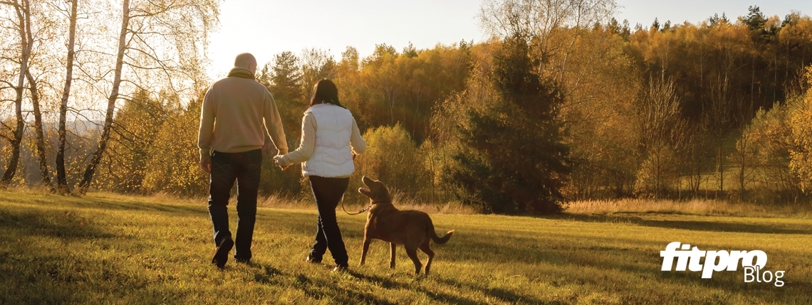 Dog walking fitness