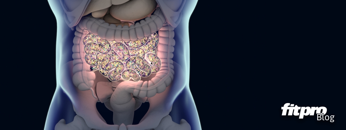 Leaky gut: A modern medicine mindset