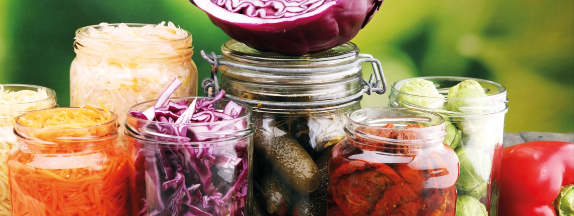 Fermented foods unravelled