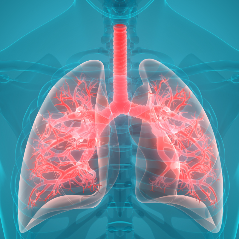 Image for Respiratory Conditions For Exercise Professionals