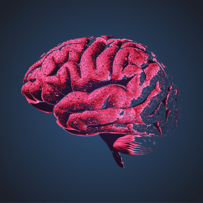 Image for Alzheimer's Disease Fitness Specialist