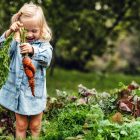 2024 diet trends - image of a very happy toddler in a vegetable patch - she has just picked out some carrots from the ground.