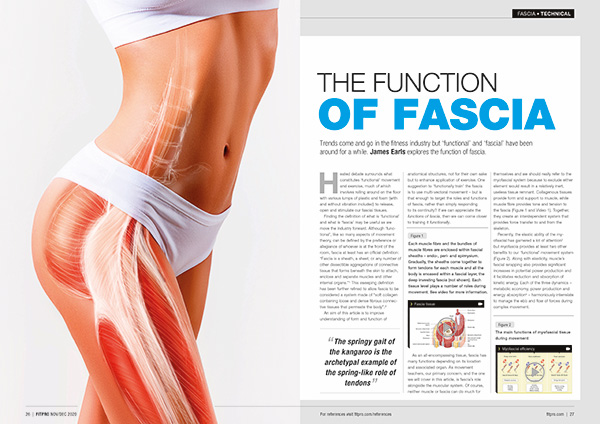 the function of fascia article in magazine